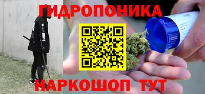 прущие крисы Братск